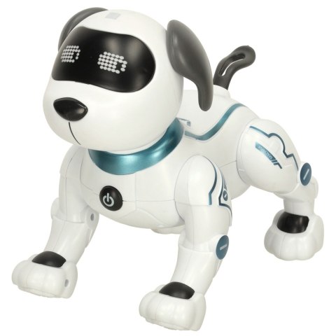 Pies piesek interaktywny zdalnie sterowany na pilota RC robot skacze śpiewa Pies piesek interaktywny zdalnie sterowany na pilota RC robot skacze śpiewa
