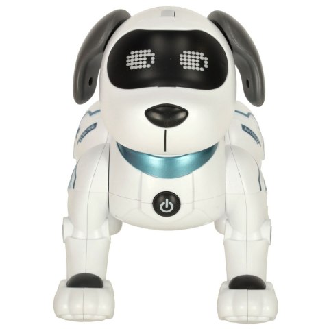 Pies piesek interaktywny zdalnie sterowany na pilota RC robot skacze śpiewa Pies piesek interaktywny zdalnie sterowany na pilota RC robot skacze śpiewa