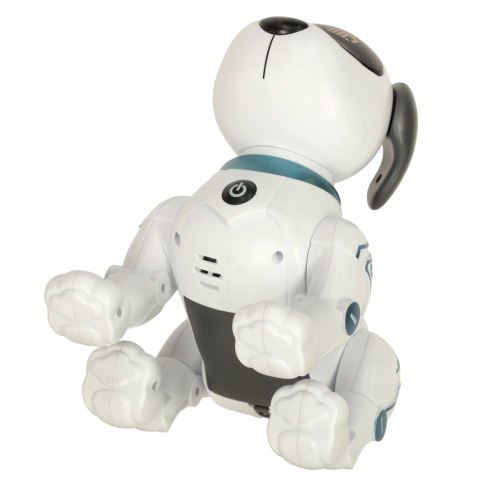 Pies piesek interaktywny zdalnie sterowany na pilota RC robot skacze śpiewa Pies piesek interaktywny zdalnie sterowany na pilota RC robot skacze śpiewa