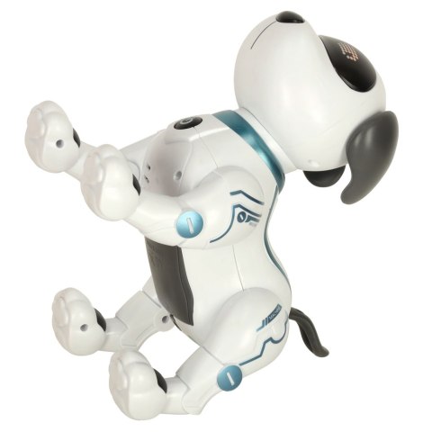 Pies piesek interaktywny zdalnie sterowany na pilota RC robot skacze śpiewa Pies piesek interaktywny zdalnie sterowany na pilota RC robot skacze śpiewa