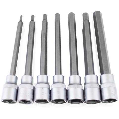 Zestaw Długich Nasadek TORX SPLINE XZN HEX 3/8" 110mm 21 el. Zestaw Długich Nasadek TORX SPLINE XZN HEX 3/8" 110mm 21 el.